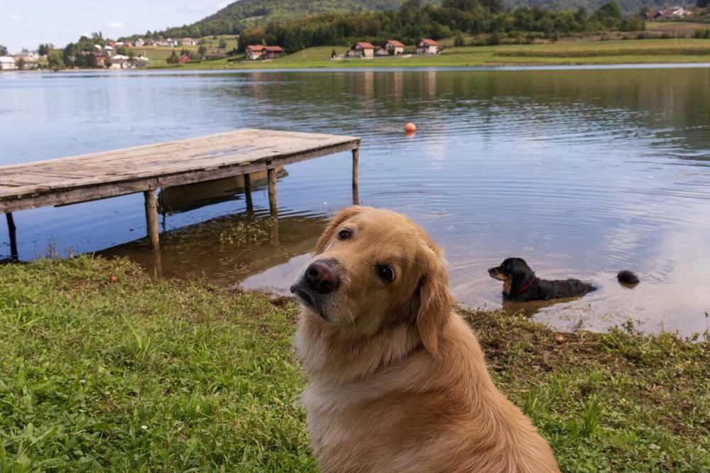 Villa Kuca Za Odmor Jezero Ogulin Esterno foto